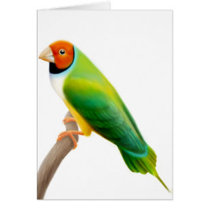 Orangen Gouldian Finch Headed Hälsningskort