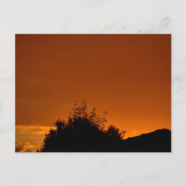 Orangen himmel vykort (Framsida)