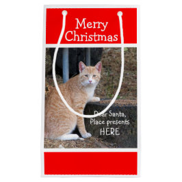 Orangen Önskemål Tabby Gift Bag