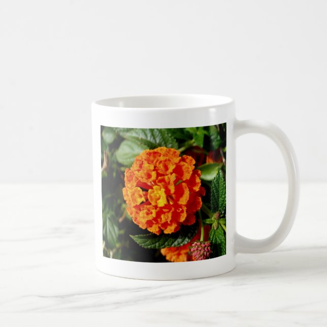 Orangen Perfekt, bloom Kaffemugg (Höger)