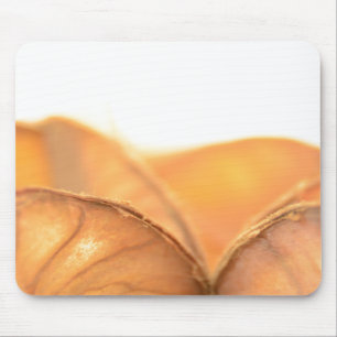 Orangene Frucht Musmatta