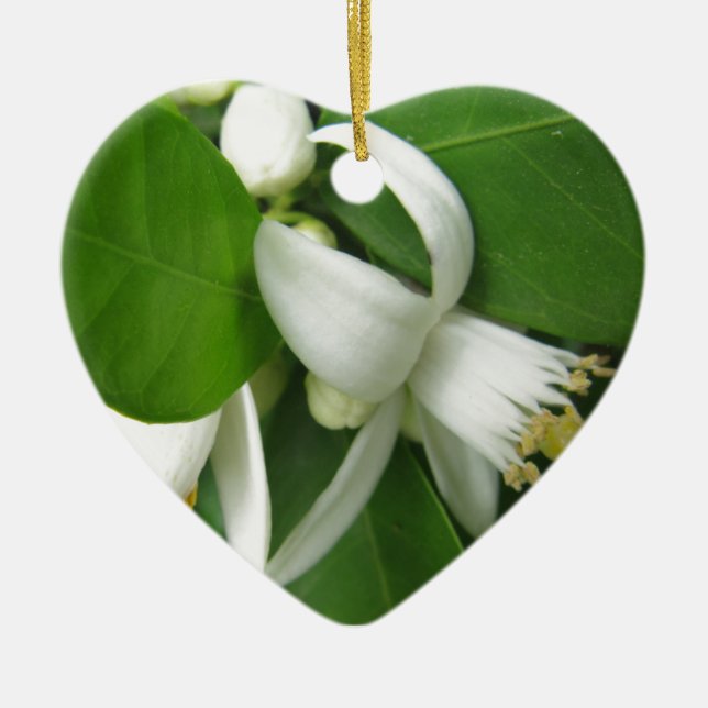 Orangens Blommar Julgransprydnad Keramik (Framsidan)