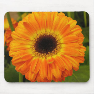 Orangens blommiga musknapp musmatta