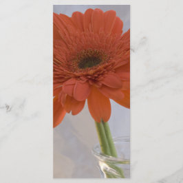 ORANGENS DAISY i BRÖLLOPSPROGRAMMET VAS Program