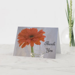ORANGENS DAISY i VAS TACK