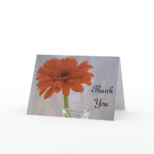 ORANGENS DAISY i VAS TACK