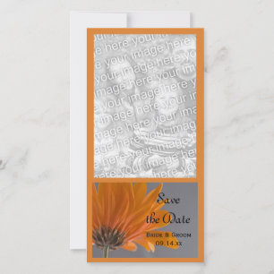Orangens Daisy på Grått Bröllop spara datum Datumet