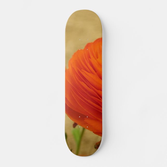 Orangens nedre skateboard (Framsida)