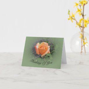 Orangens Rosenknopp Kort