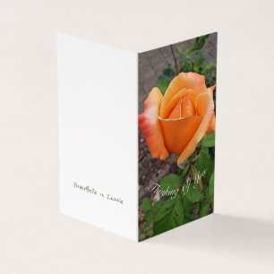 Orangens Rosenknopp Kort