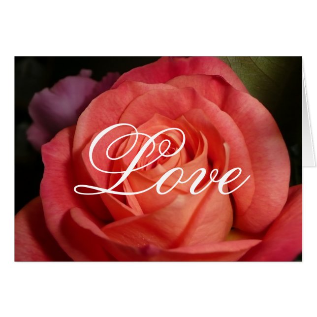 Orangero Hälsningskort (Framsidan Horizontal)