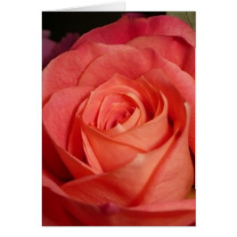 Orangero Hälsningskort