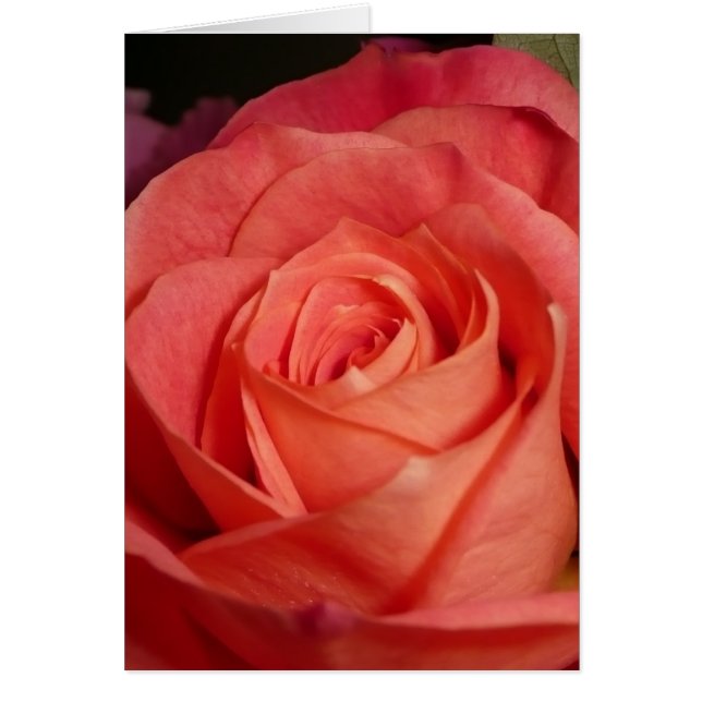 Orangero Hälsningskort (Framsidan)