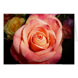 Orangero Hälsningskort