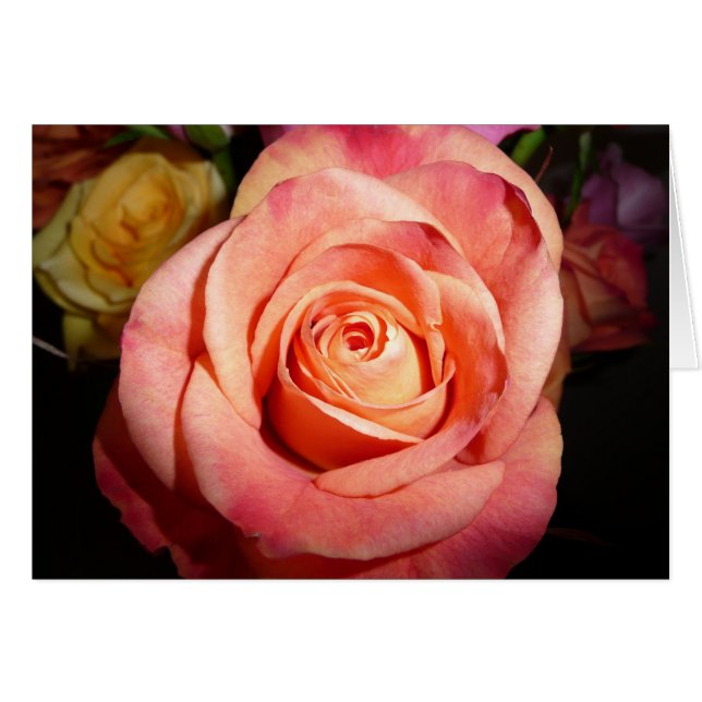 Orangero Hälsningskort (Framsidan Horizontal)