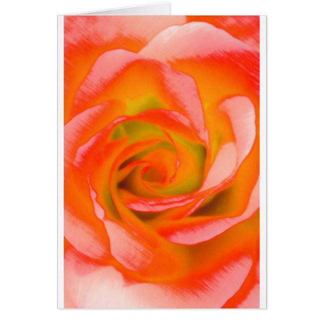 Orangeronärbild Hälsningskort (Framsidan)