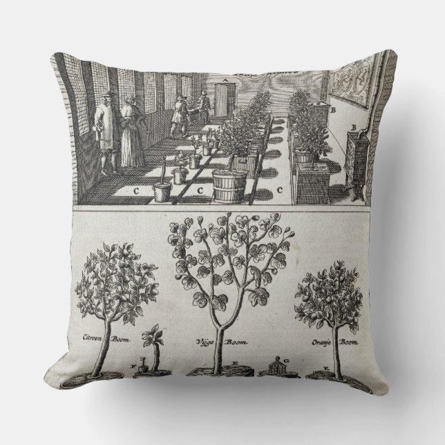 Orangery från "De Nederlandze Hesperides" vid Jan Kudde (Framsida)