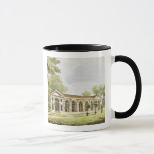 Orangeryen Kew trädgårdar, pläterar 11 från 'K Mugg