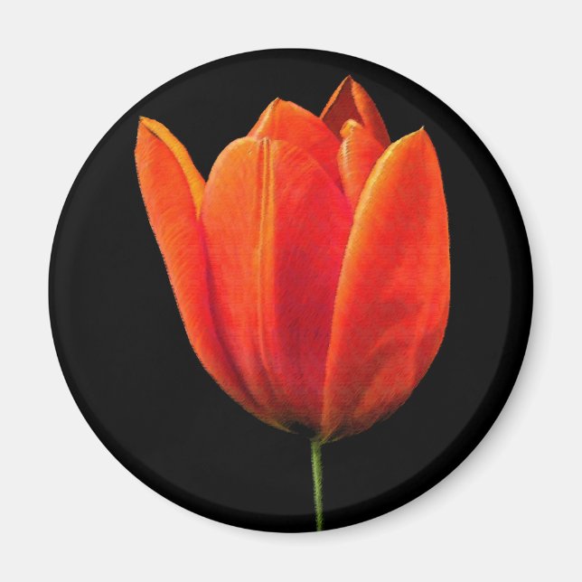 OrangeTulip Magnet (Framsidan)