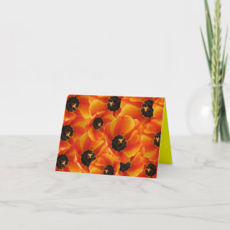 Orangetulipssideview, orangetulip3, orangetulip... kort