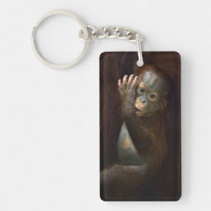Orangutan