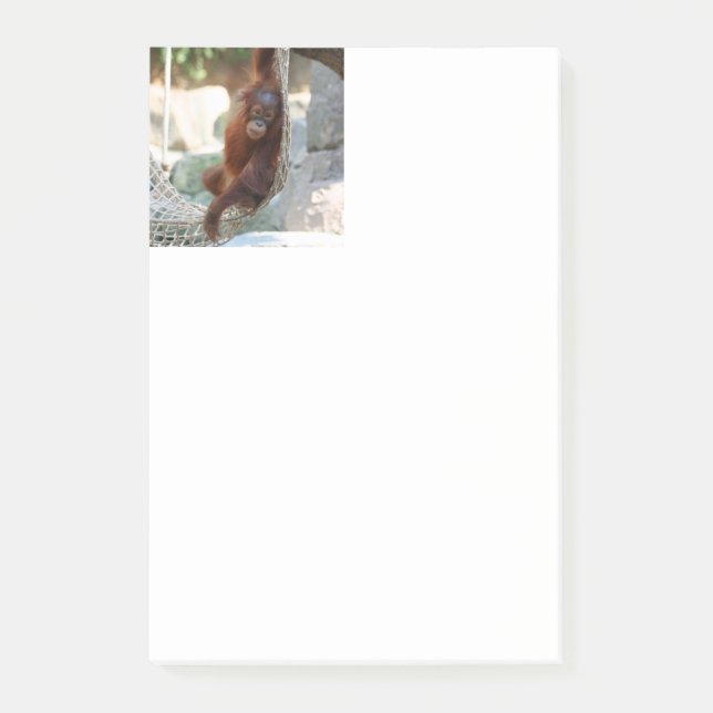 OrangUtan 001 Post-it Block (Framsida)