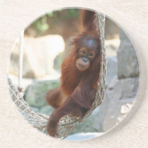 OrangUtan 001 Underlägg