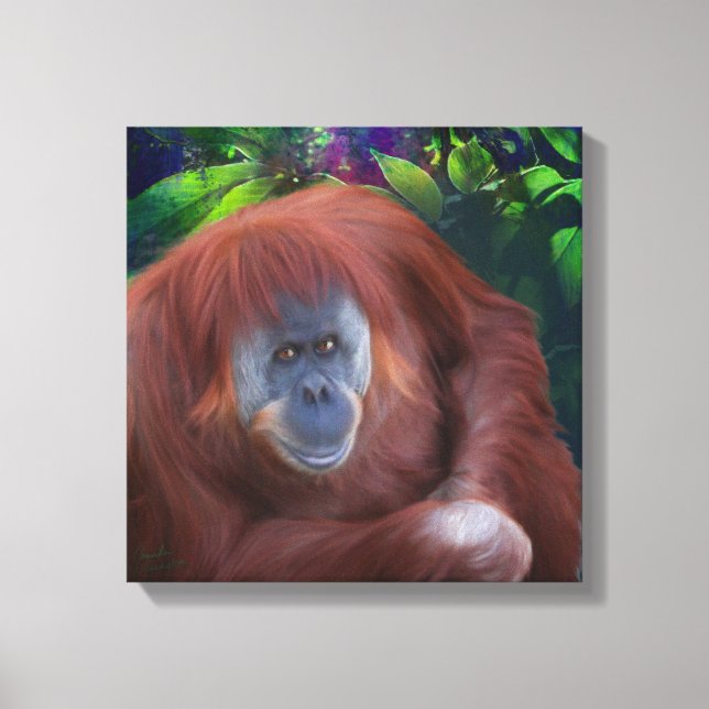 Orangutan 14x14 Stretched Canvas (Framsida)