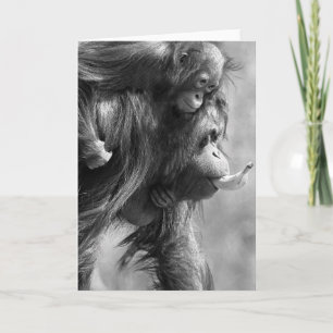 Orangutan#8--Greetingkort Kort