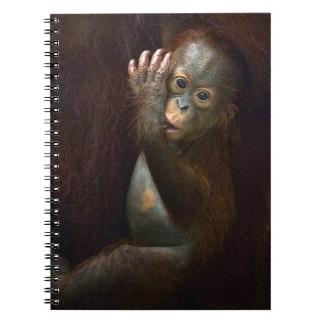 Orangutan Anteckningsbok (Framsidan)