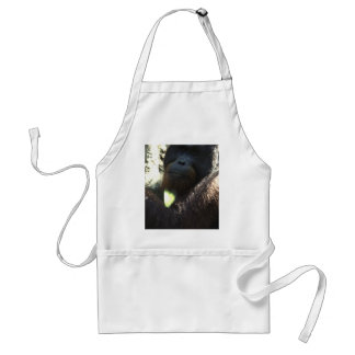 OrangUtan "Apa-Ron ", Förkläde