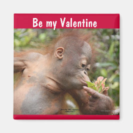 Orangutan Baby Alla hjärtans dag Magnet