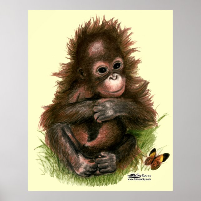 Orangutan Baby and Butterfly Poster (Framsidan)