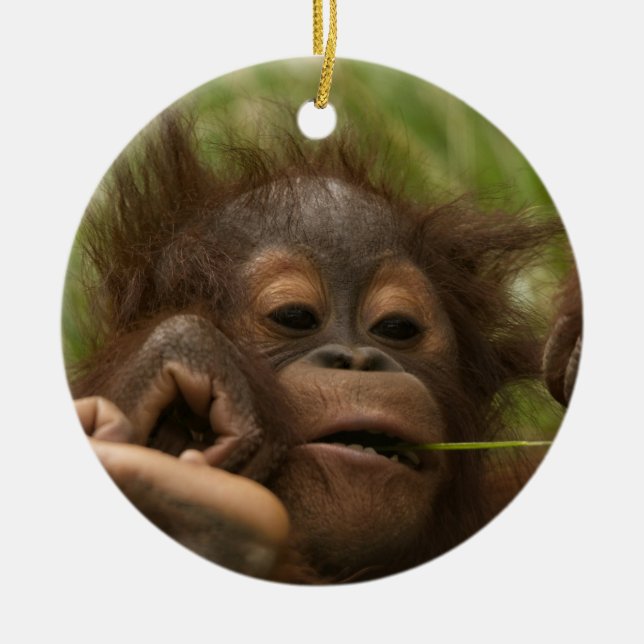 Orangutan Baby Julgransprydnad Keramik (Framsidan)