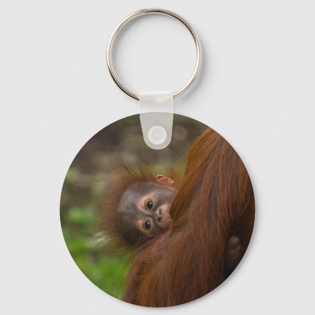 Orangutan Baby med en peek Nyckelring (Framsida)