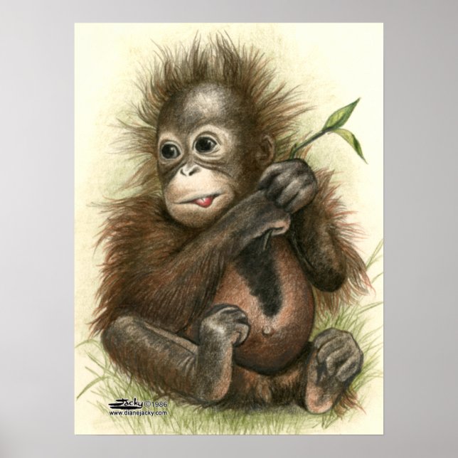 Orangutan Baby med Löv Poster (Framsidan)