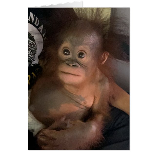 Orangutan Baby Orphan Crystal Hälsningskort (Framsidan)