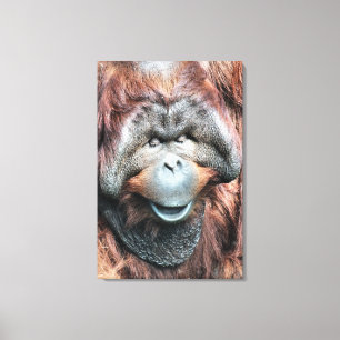 ORANGUTAN CANVASTRYCK