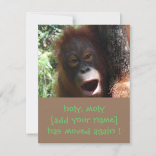 Orangutan Change of Adress Meddelande