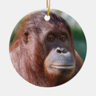 Orangutan Dam Julgransprydnad Keramik