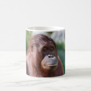 Orangutan Dam Kaffemugg