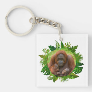 Orangutan Family Bond