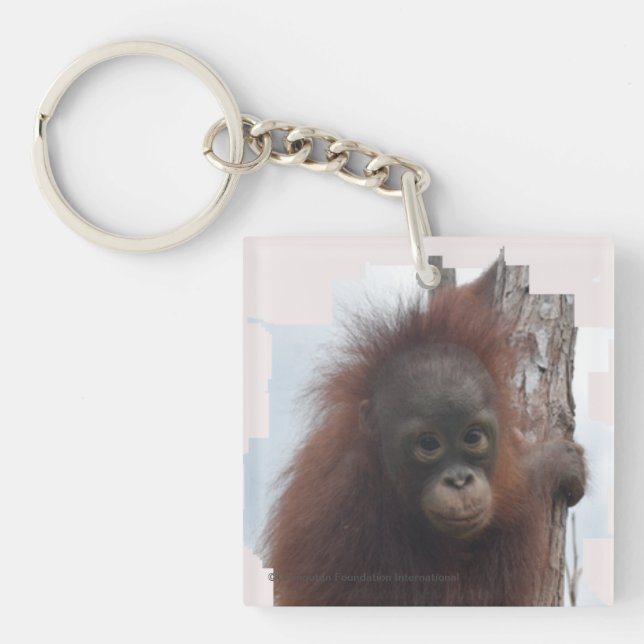 Orangutan Flicka (Framsidan)