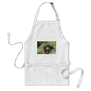 Orangutan Förkläde