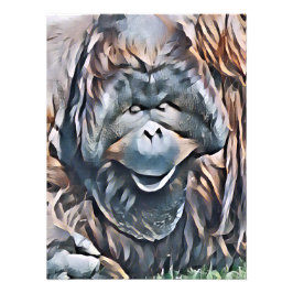 ORANGUTAN FOTOTRYCK