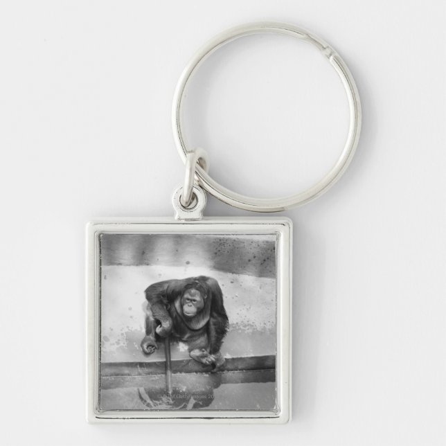 Orangutan Fyrkantig Silverfärgad Nyckelring (Framsidan)