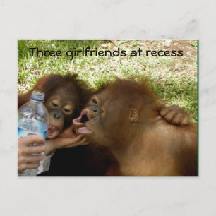 Orangutan Girlkompisar på recess Vykort
