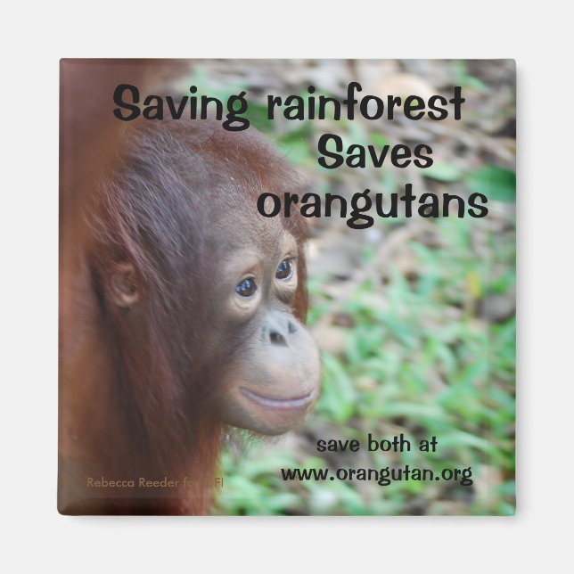 Orangutan Habitat Magnet (Framsidan)