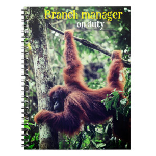 Orangutan hängande i träd anteckningsbok