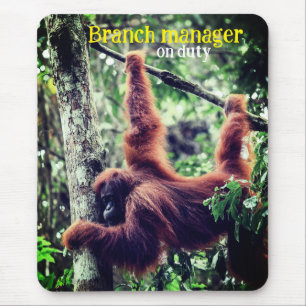 Orangutan hängande i träd musmatta